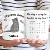 681c9e9668ac6_preview