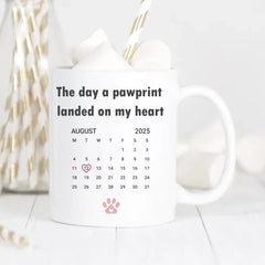 681c9e9639161_preview