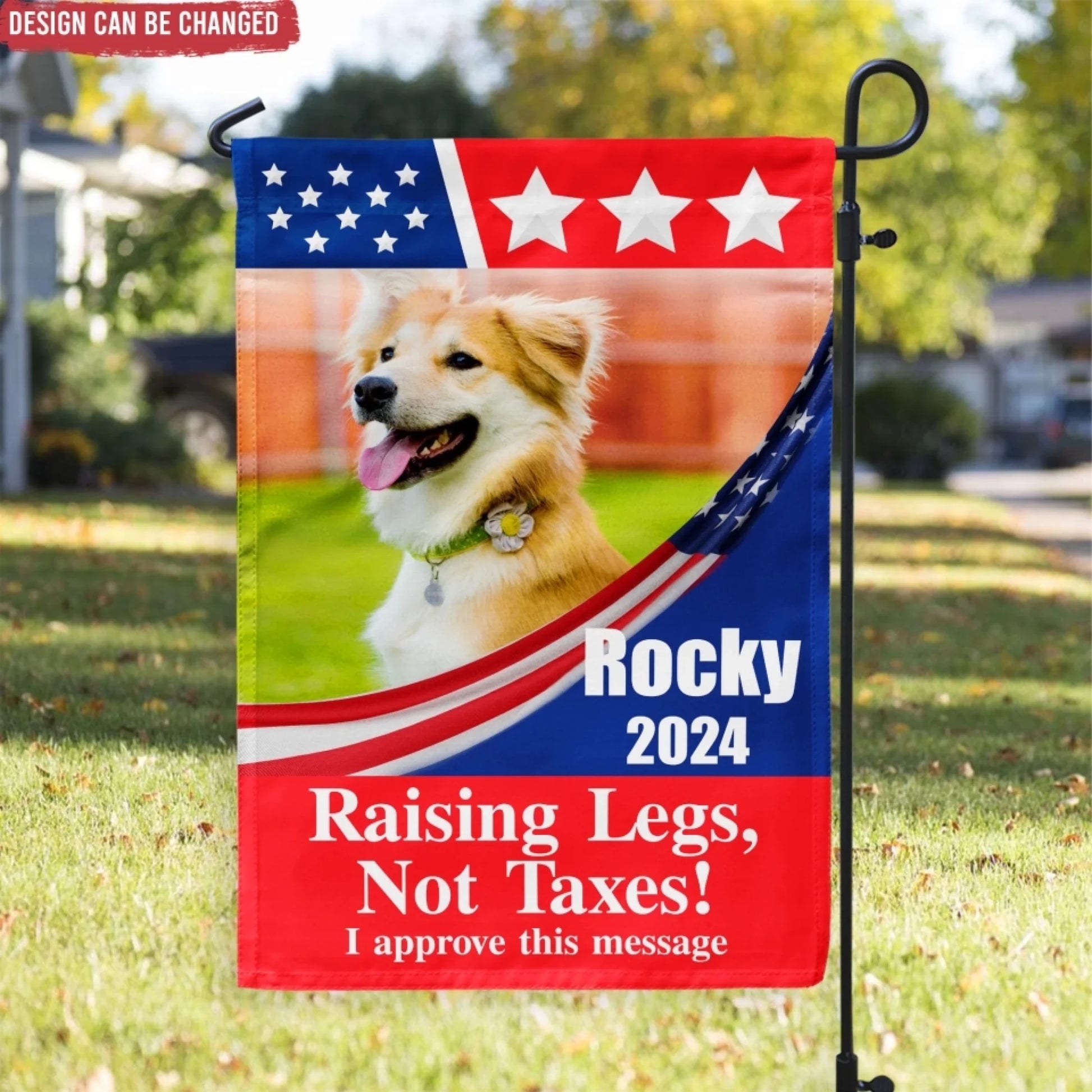 66a0d3c42a338_large