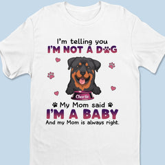 67a4217a9f2af_large