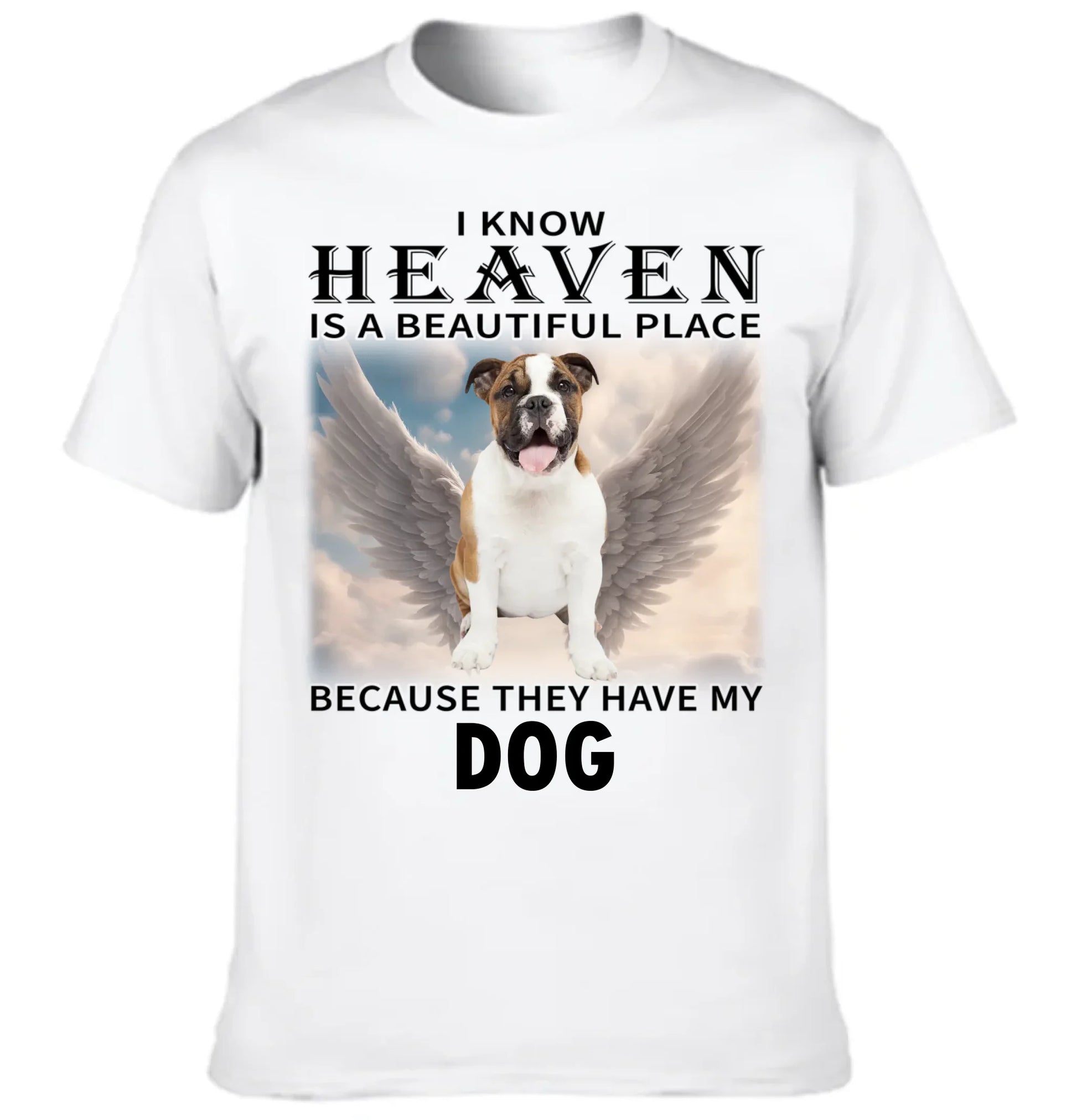 67e22fa1b3f61_large