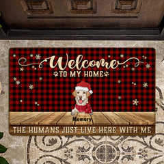 6180ea3b62cdd_large