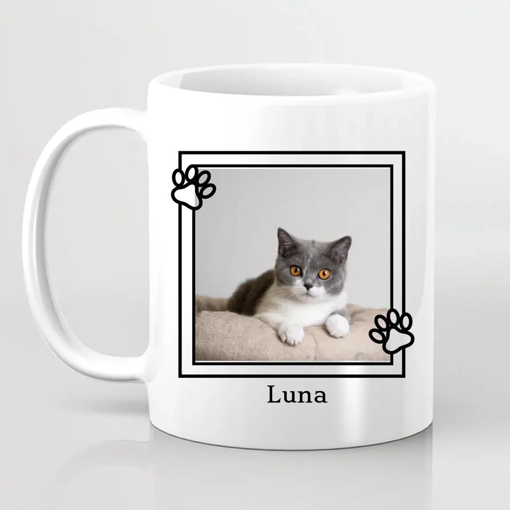 6810c2fa13478_preview