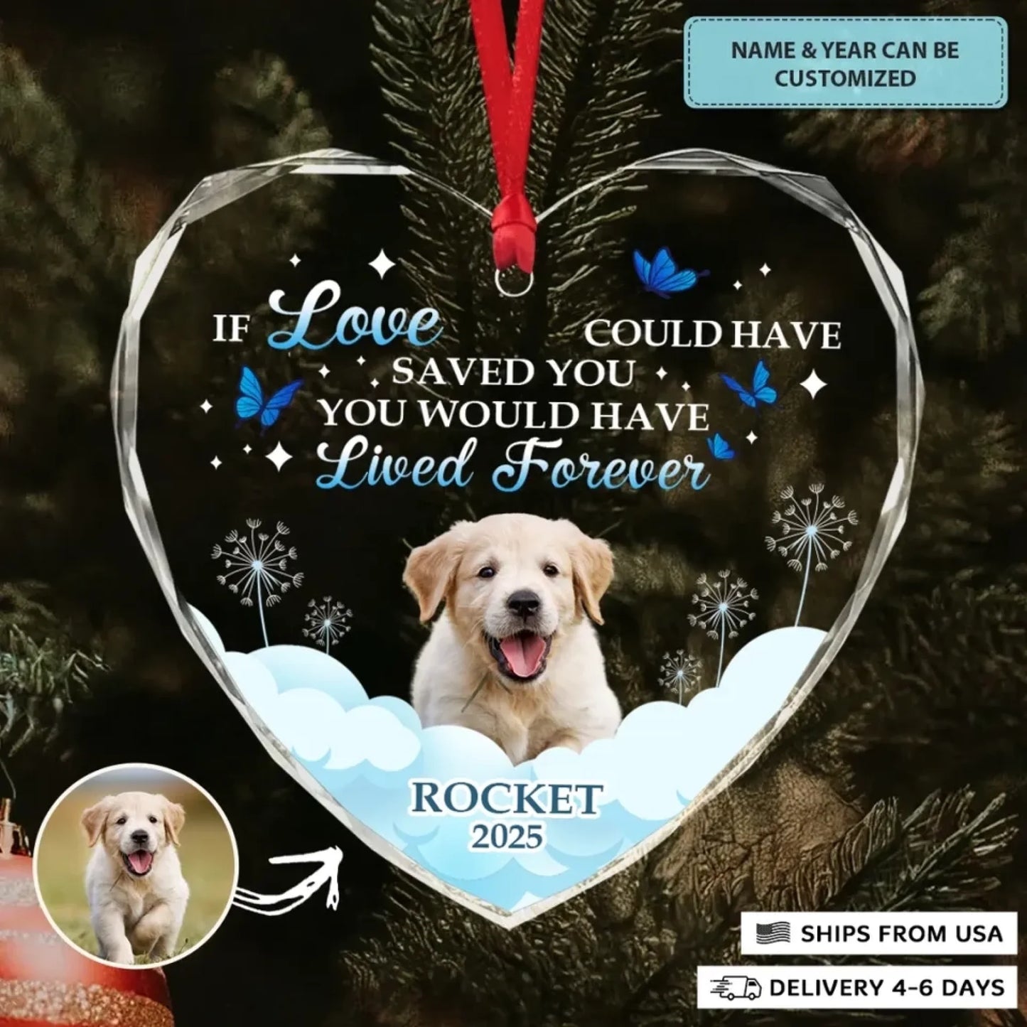 690ad0e207994_large