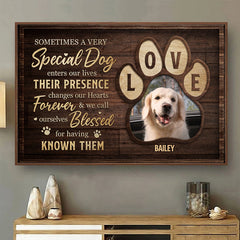 You Were My Favorite Hello - Personalized Horizontal Poster - Upload Image, Gift For Pet Lovers