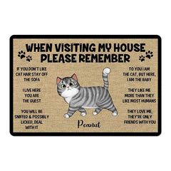 Please Remember When Visiting Cats House Personalized Doormat